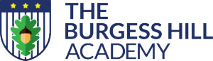 Burgess Hill Academy